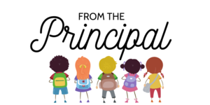 Kindergarten Survey